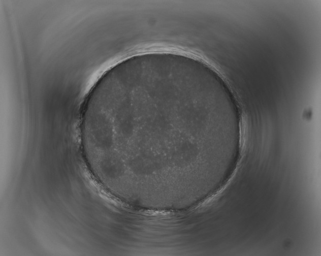 X0000116121501200912071333