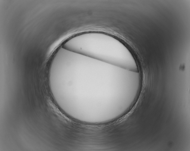 X0000116121502200912071333