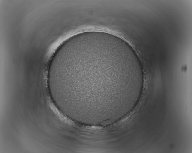 X0000116121503200912071334