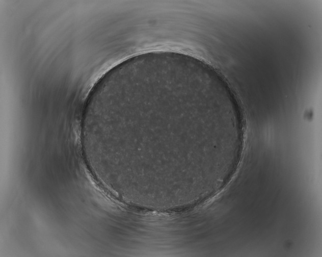 X0000116121505200912071334