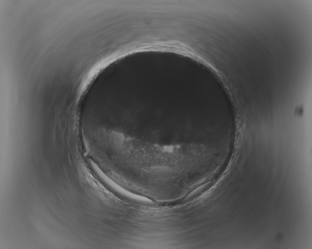 X0000116121506200912071334