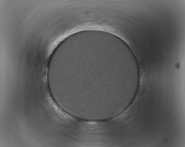 X0000116121507200912071334