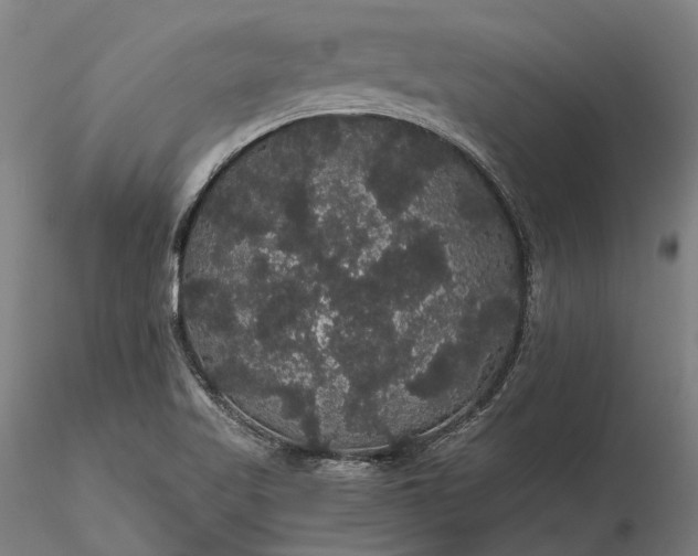 X0000116121509200912071334