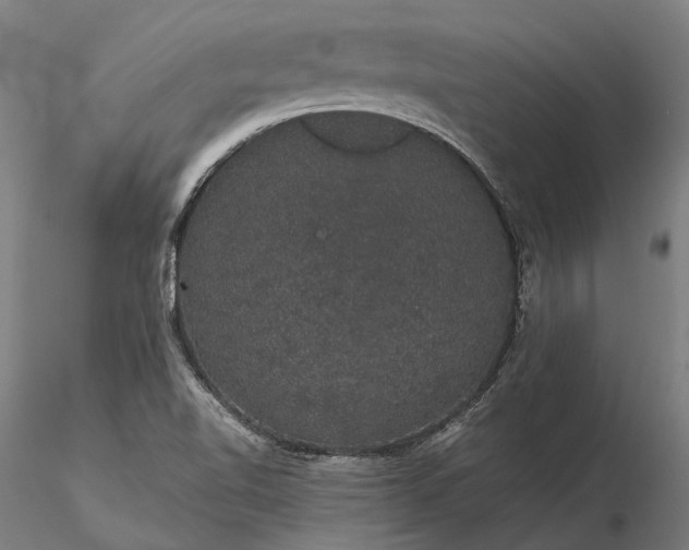 X0000116121510200912071334