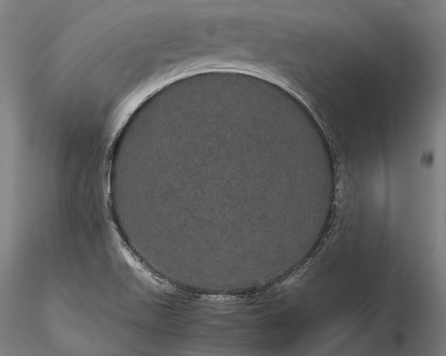 X0000116121511200912071334