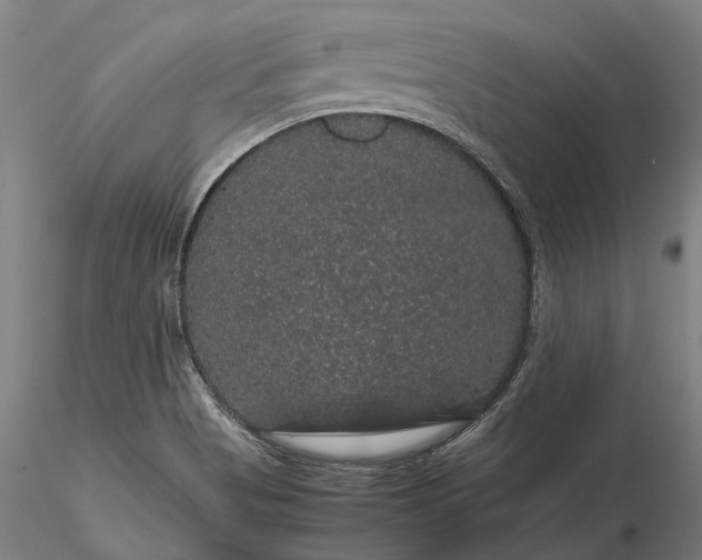 X0000116121513200912071334