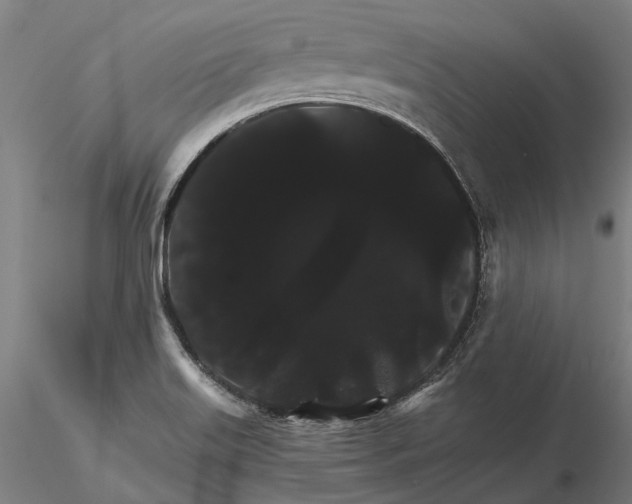 X0000116121515200912071334