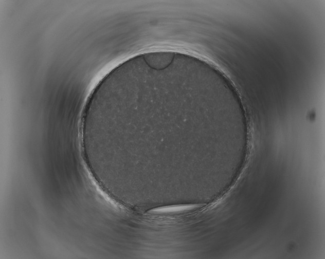 X0000116121517200912071334