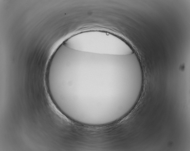 X0000116121518200912071334