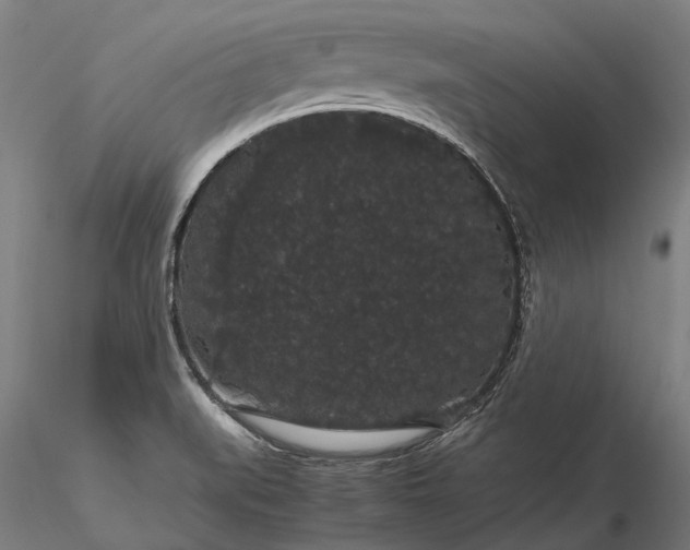 X0000116121519200912071334