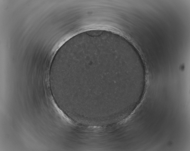 X0000116121521200912071334