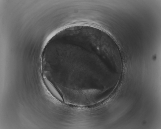 X0000116121522200912071334