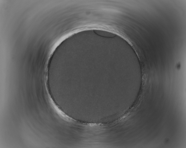 X0000116121523200912071334