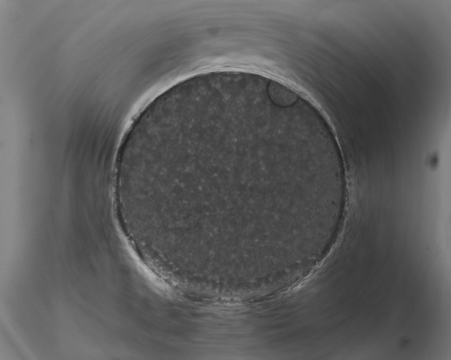 X0000116121525200912071334