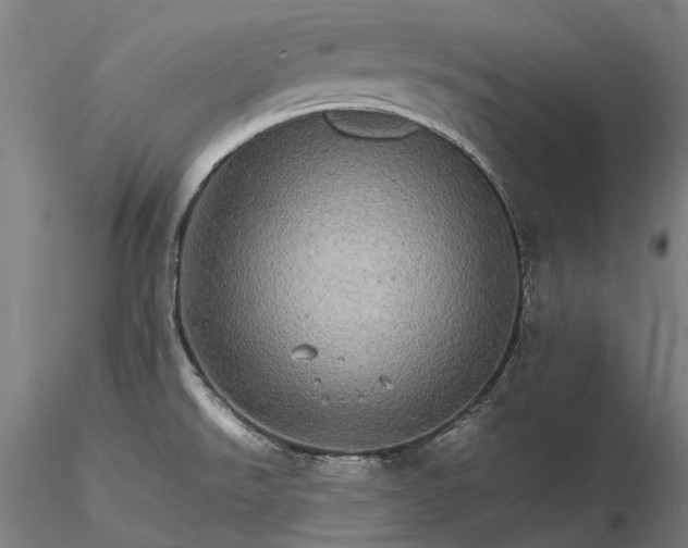 X0000116121526200912071334