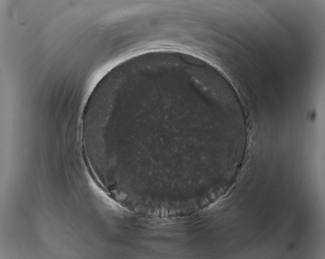 X0000116121527200912071334