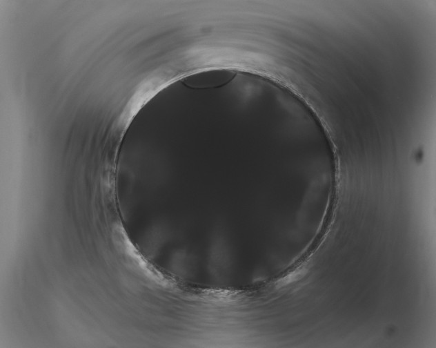 X0000116121529200912071334