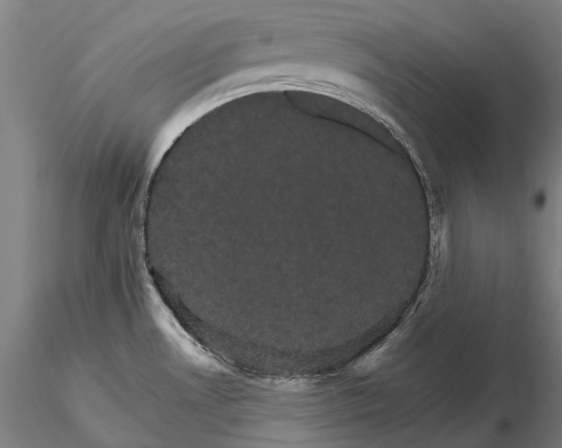 X0000116121530200912071334