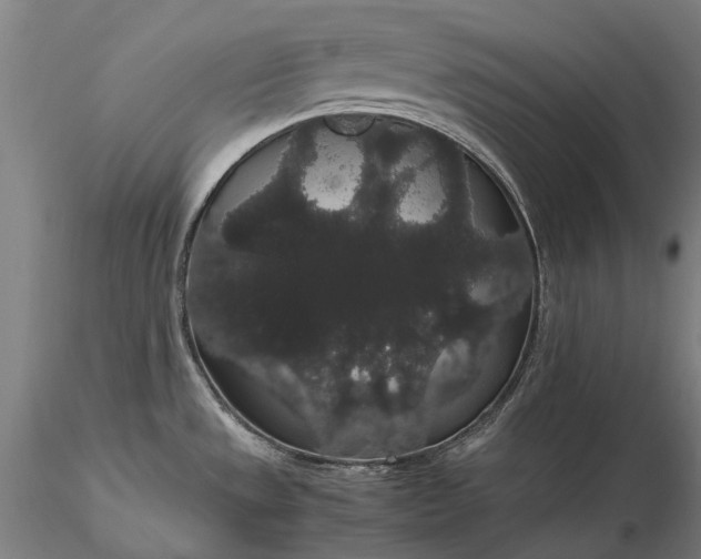 X0000116121533200912071334