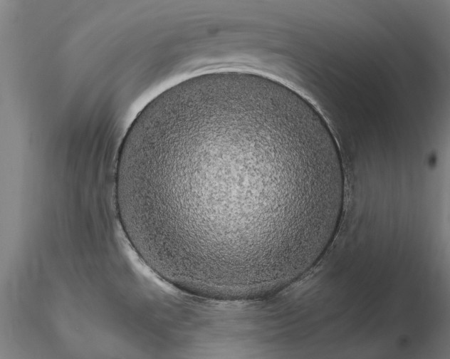 X0000116121534200912071334