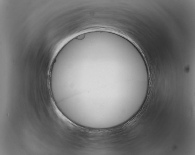 X0000116121535200912071334