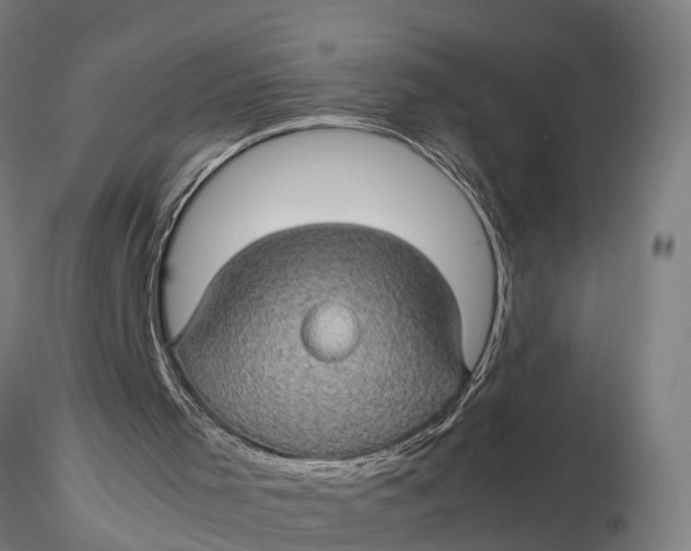 X0000116120001200912141056