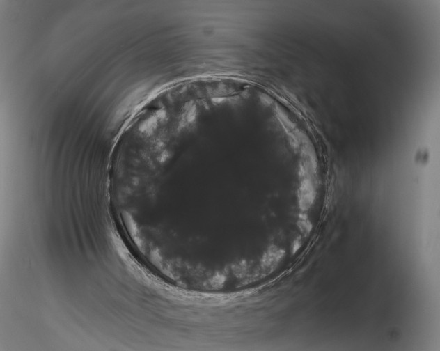 X0000116120002200912141056