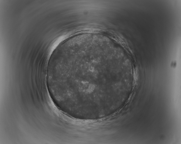 X0000116120003200912141056