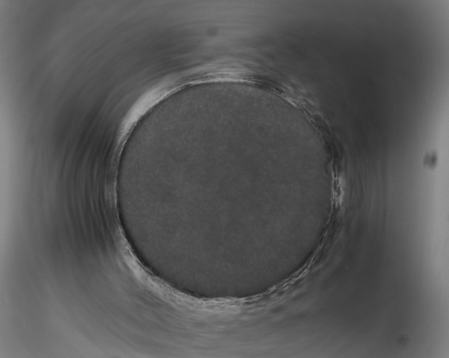 X0000116120004200912141056