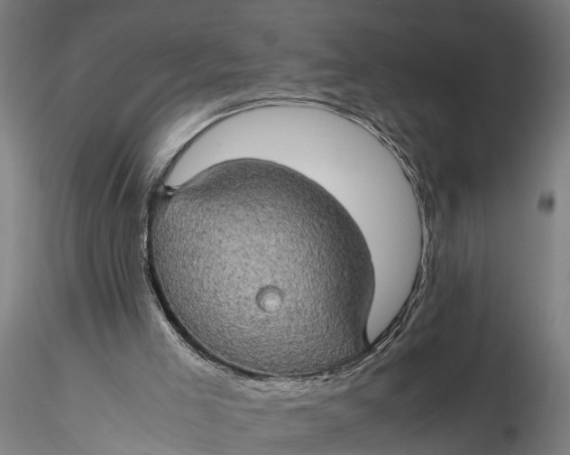 X0000116120005200912141056