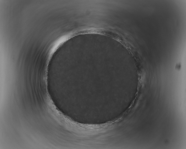 X0000116120006200912141056