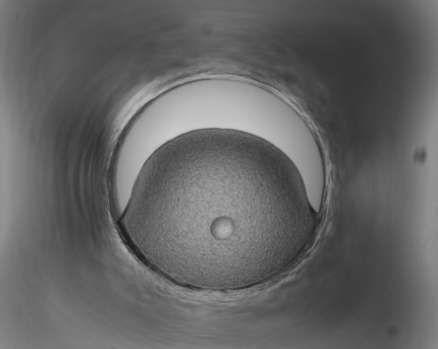 X0000116120007200912141056