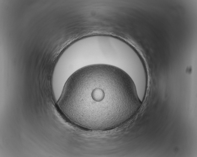 X0000116120009200912141056