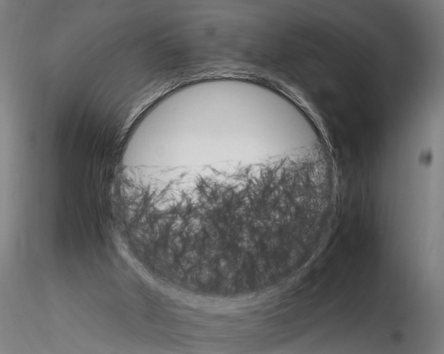 X0000116120010200912141056