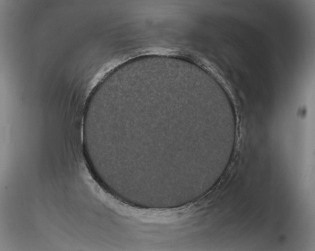 X0000116120011200912141056