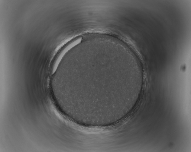 X0000116120012200912141056