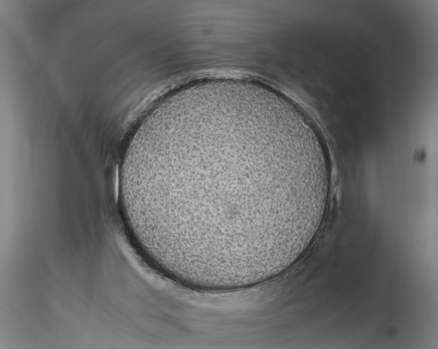 X0000116120013200912141056