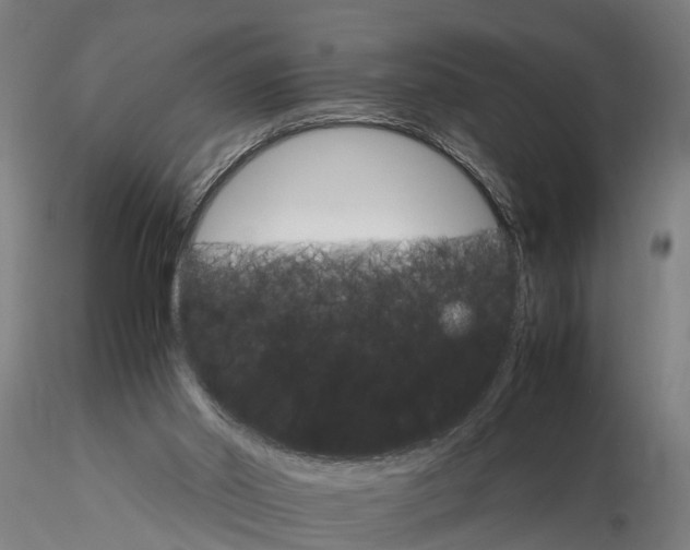 X0000116120014200912141056