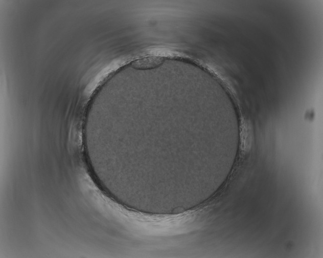 X0000116120015200912141056