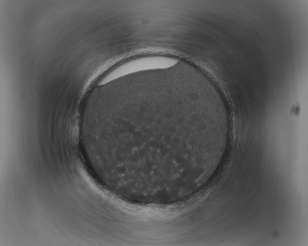 X0000116120016200912141056