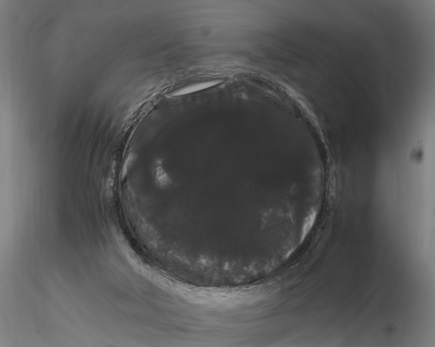 X0000116120018200912141056