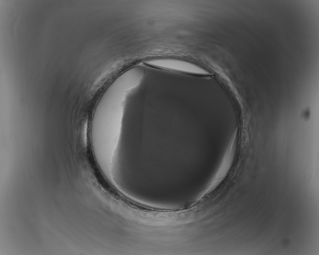 X0000116120019200912141056