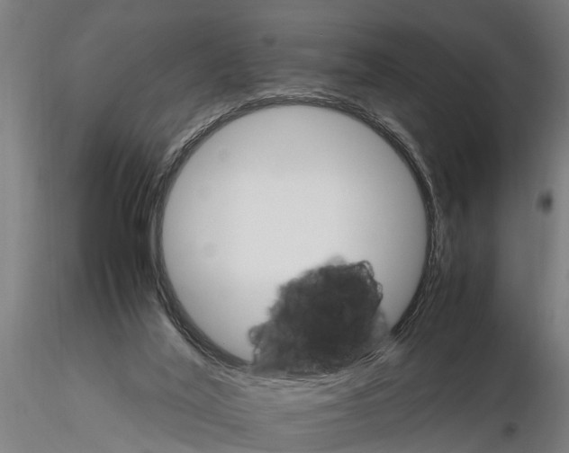 X0000116120020200912141056