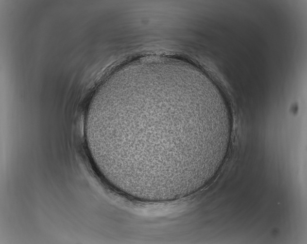 X0000116120021200912141056