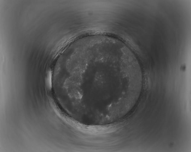 X0000116120022200912141056
