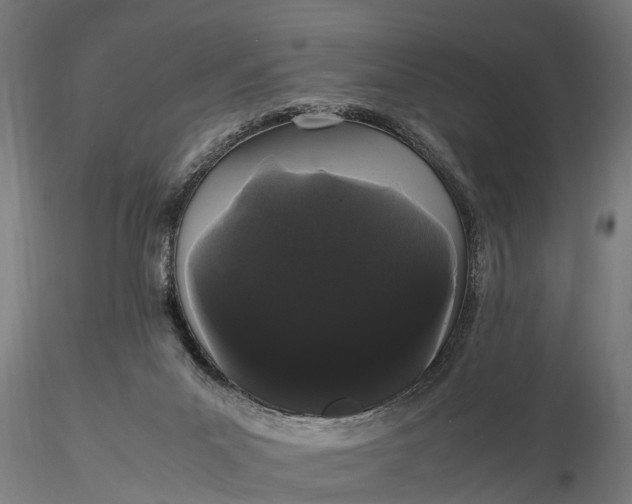 X0000116120023200912141056