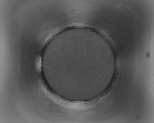 X0000116120024200912141056