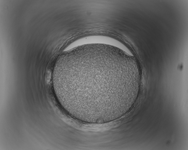 X0000116120025200912141056