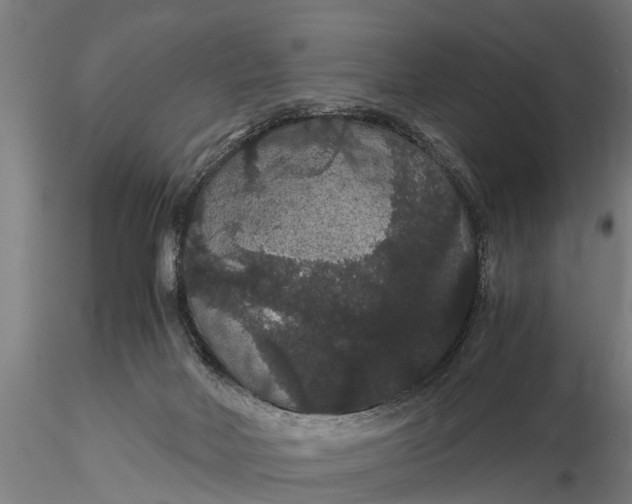 X0000116120026200912141056