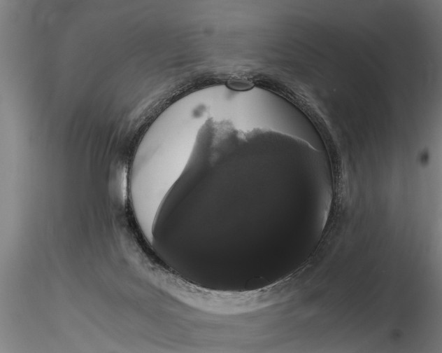 X0000116120027200912141056